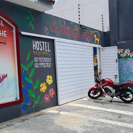 "Le Chat Qui Peche" Hostel A 150 Metros Da Praia De Pajucara Maceio  Ngoại thất bức ảnh